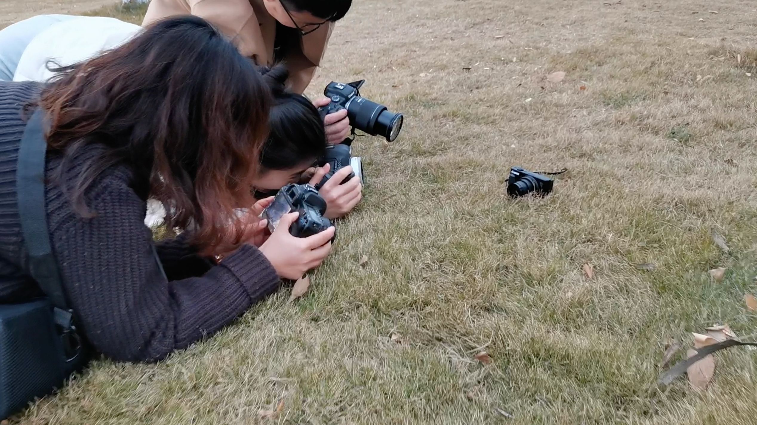 学员练习拍摄近景现场